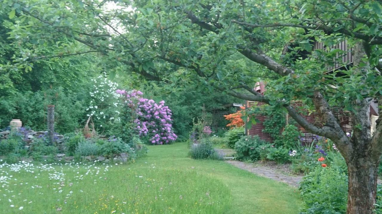 Landhaus Bernecker, Bay.W. Rinchnach Exteriör bild